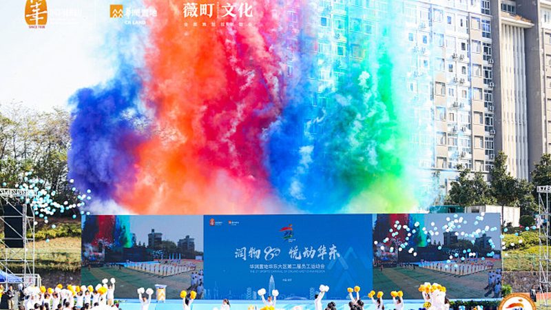 品牌设计工作流程化：揭秘高效设计的秘密武器